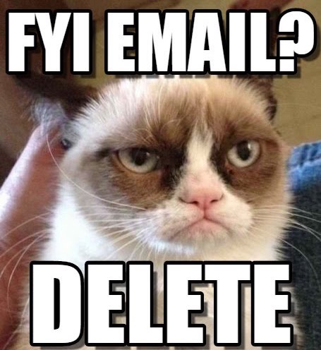 FYI, FYI means "for your information"