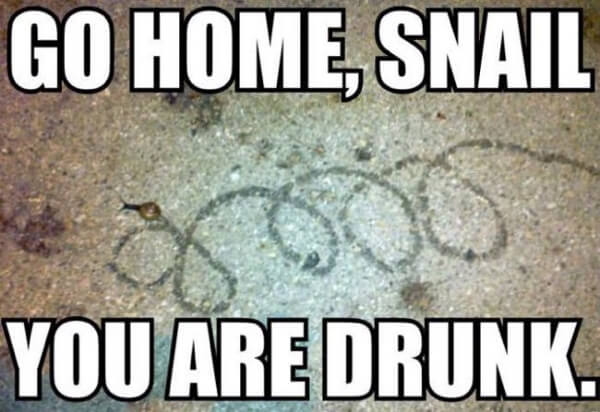 Go Home means