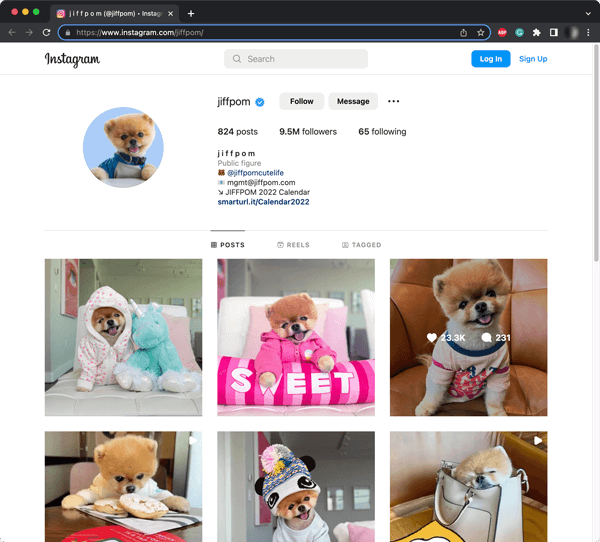 Petfluencer jiffpom's IG profile