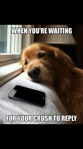 The textpectation from your crush can be torture