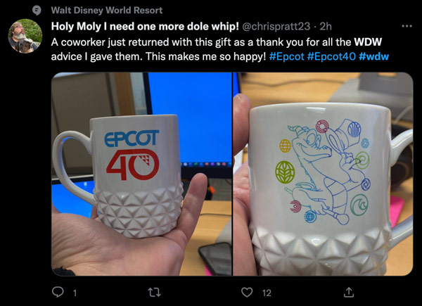 Disney superfans really, really love WDW