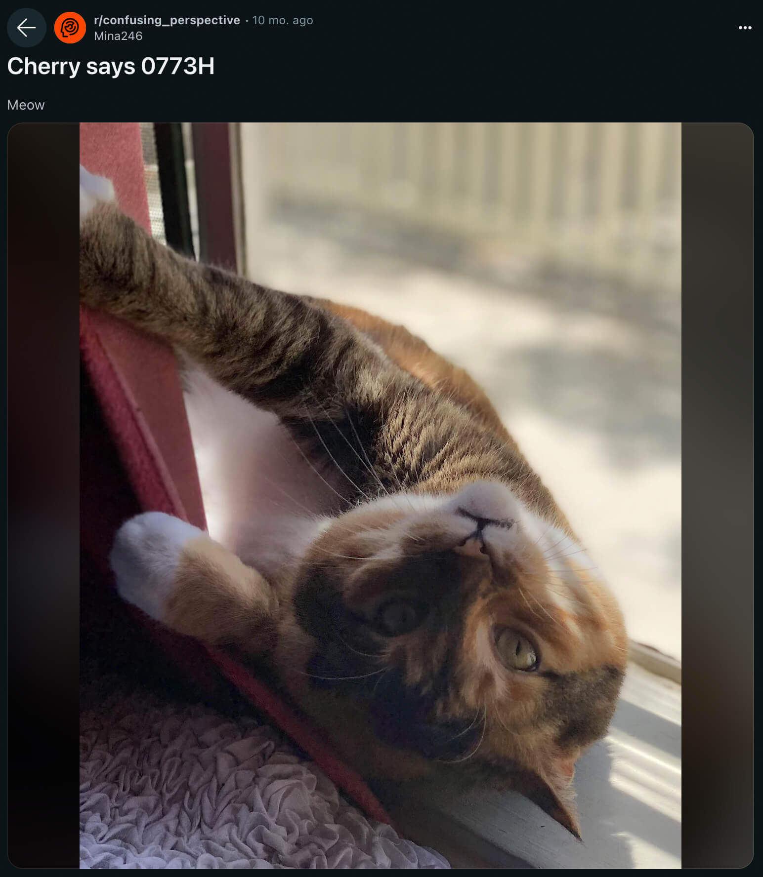 Evidently, some cats also use 0773H