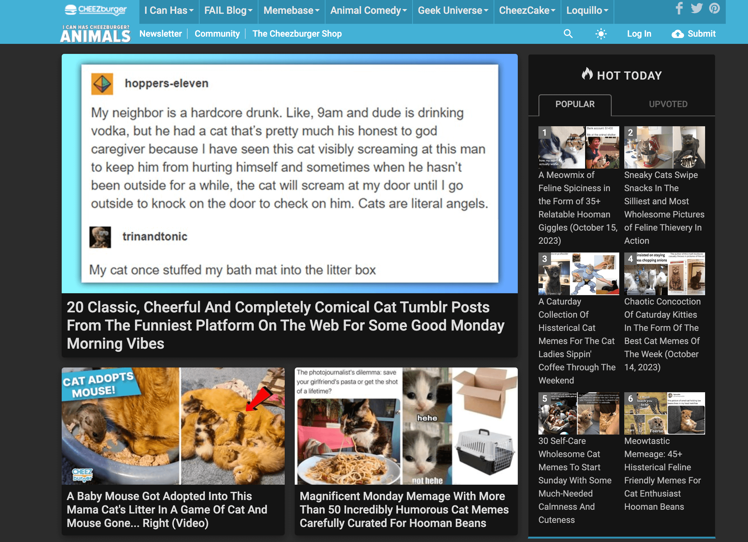 ICHC's homepage circa 2023